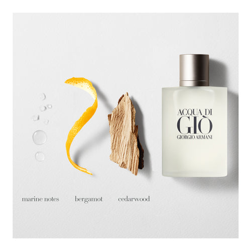 Giorgio Armani Acqua Di Gio EDT (M) [50ml]