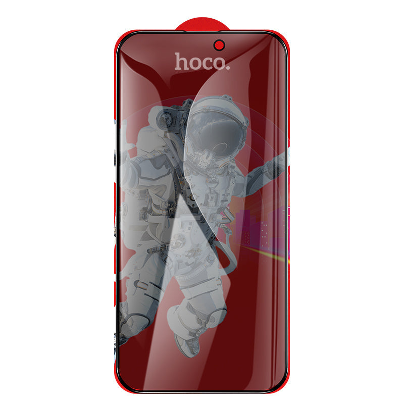 Hoco Privacy Protection Glass Screen Protector (G15) [ iPhone 16 Pro Compatible]