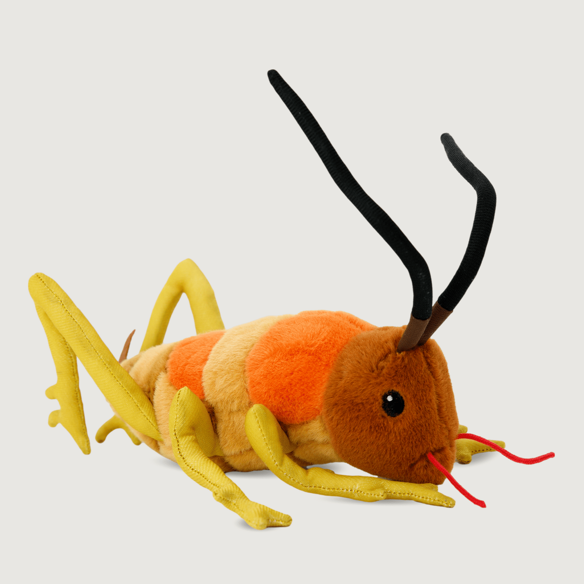 Moana Road Soft Toy - Wiremu the Weta [ - 9135]