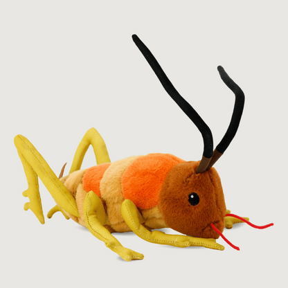 Moana Road Soft Toy - Wiremu the Weta [ - 9135]