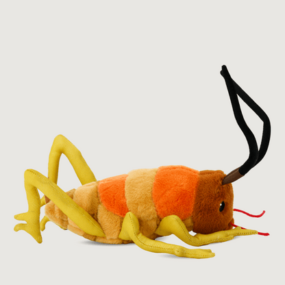 Moana Road Soft Toy - Wiremu the Weta [ - 9135]