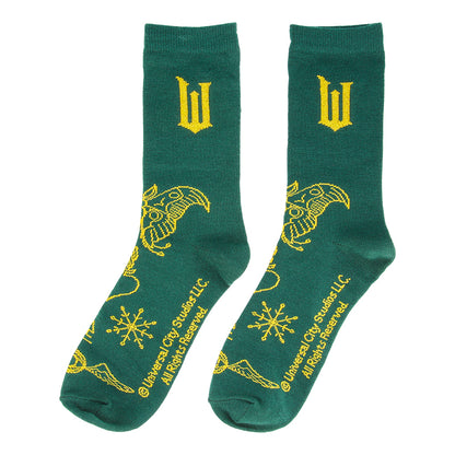 Wicked Elphaba Glass Mug & Socks