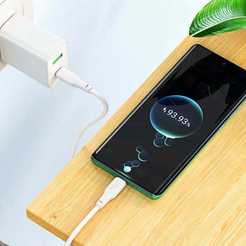 Hoco 100W High Power Fast Charging Cable - Usb C To Usb C (X93) - 2 Meter