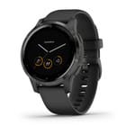 Garmin Vivoactive 4 / Gray/Silver